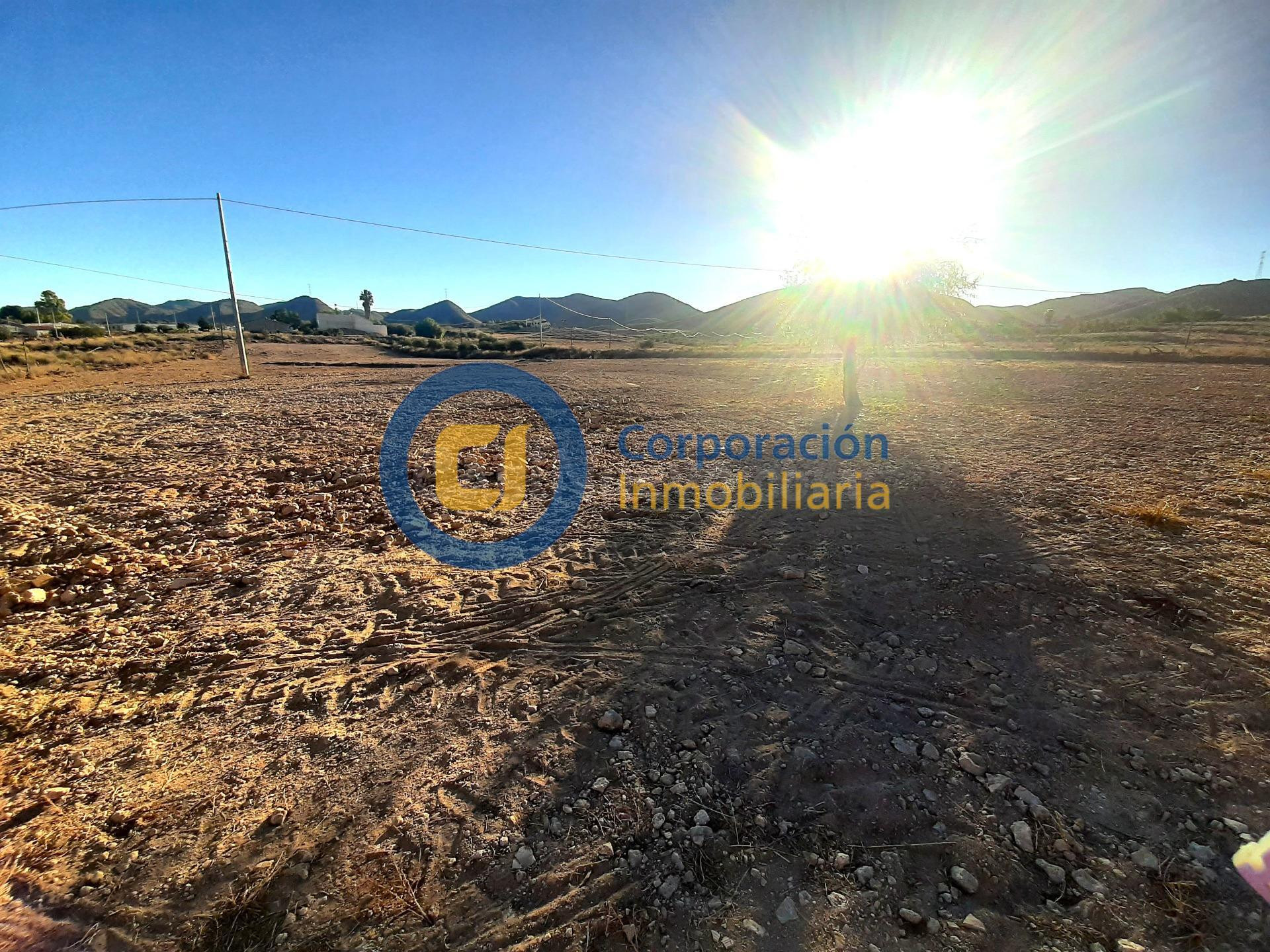 Parcela con proyecto y licencia de obra en Purias - foto 2