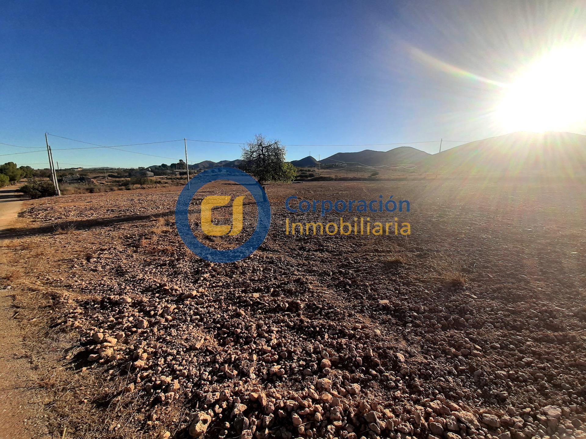 Parcela con proyecto y licencia de obra en Purias - foto 3