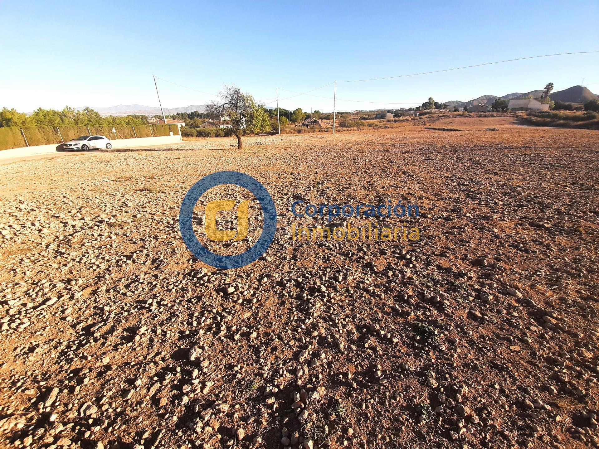 Parcela con proyecto y licencia de obra en Purias - foto 4