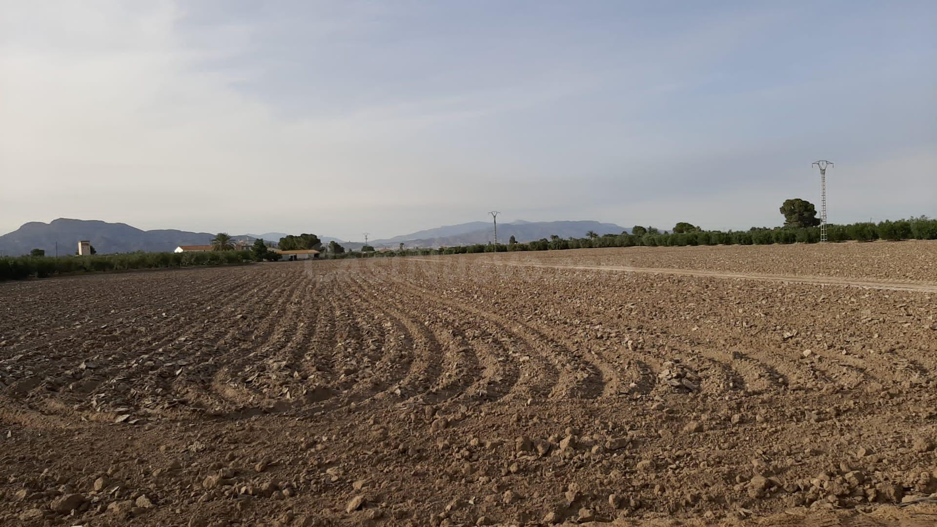 Parcela para construir en zona de El Esparragal