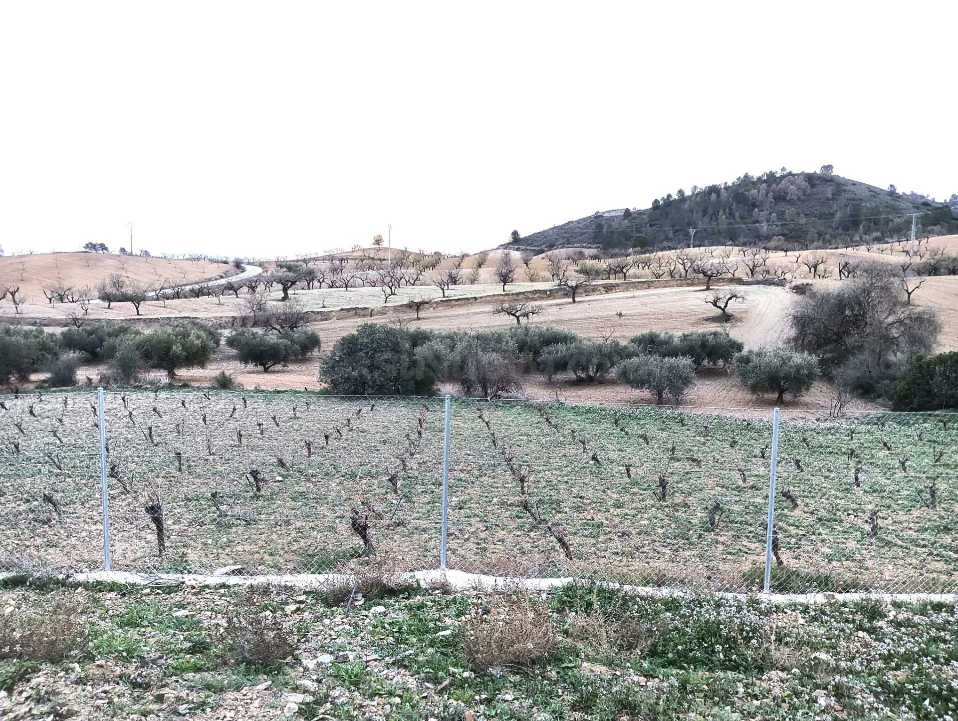 Finca en Los Jarales