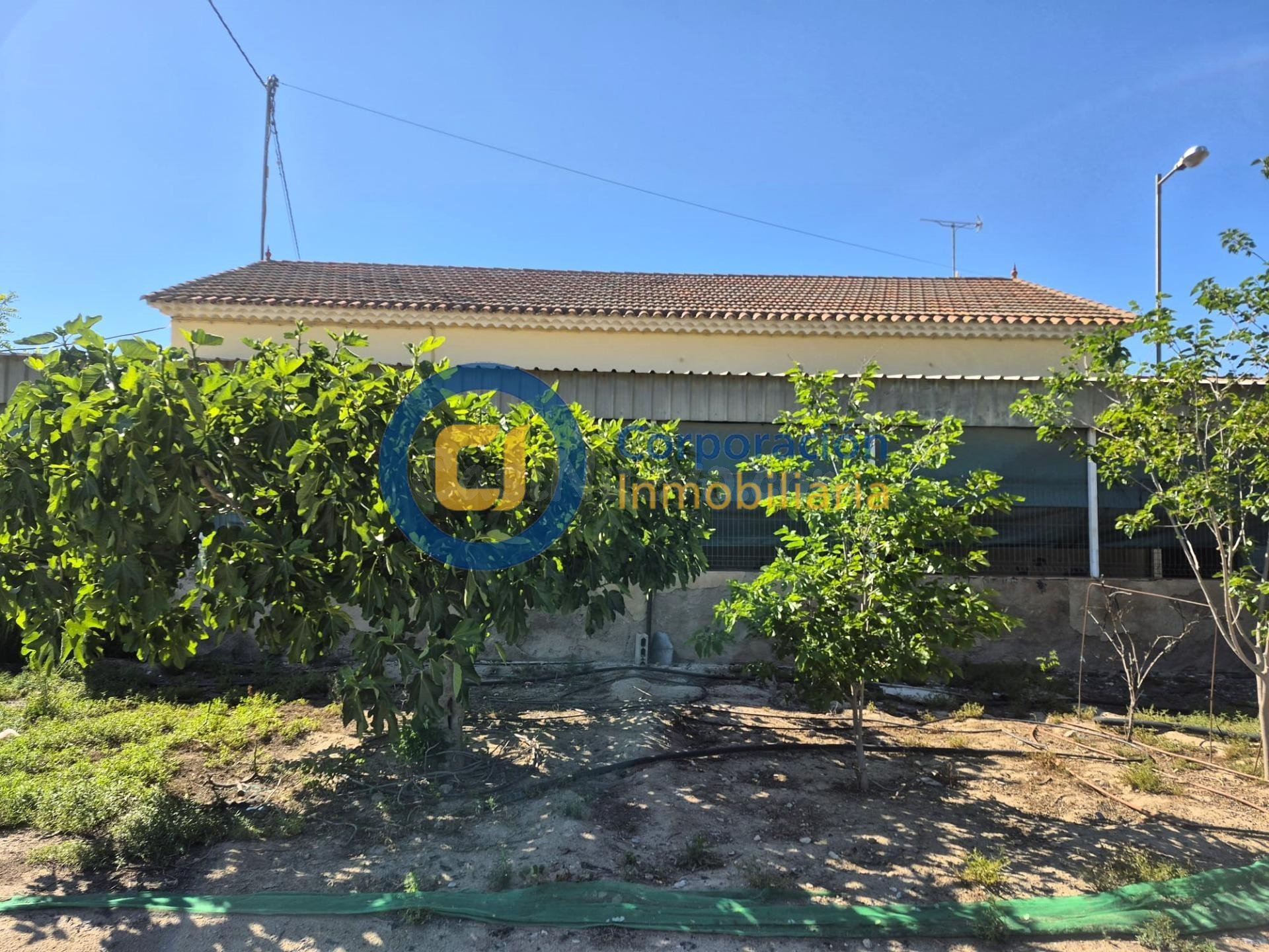 Casa de campo con cinco dormitorios con terreno en Purias