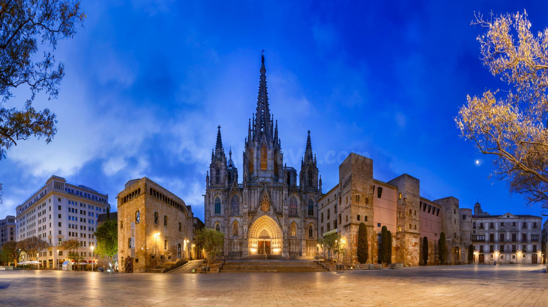 Local comercial dúplex en Sagrada Familia – Eixample, Barcelona - foto 2