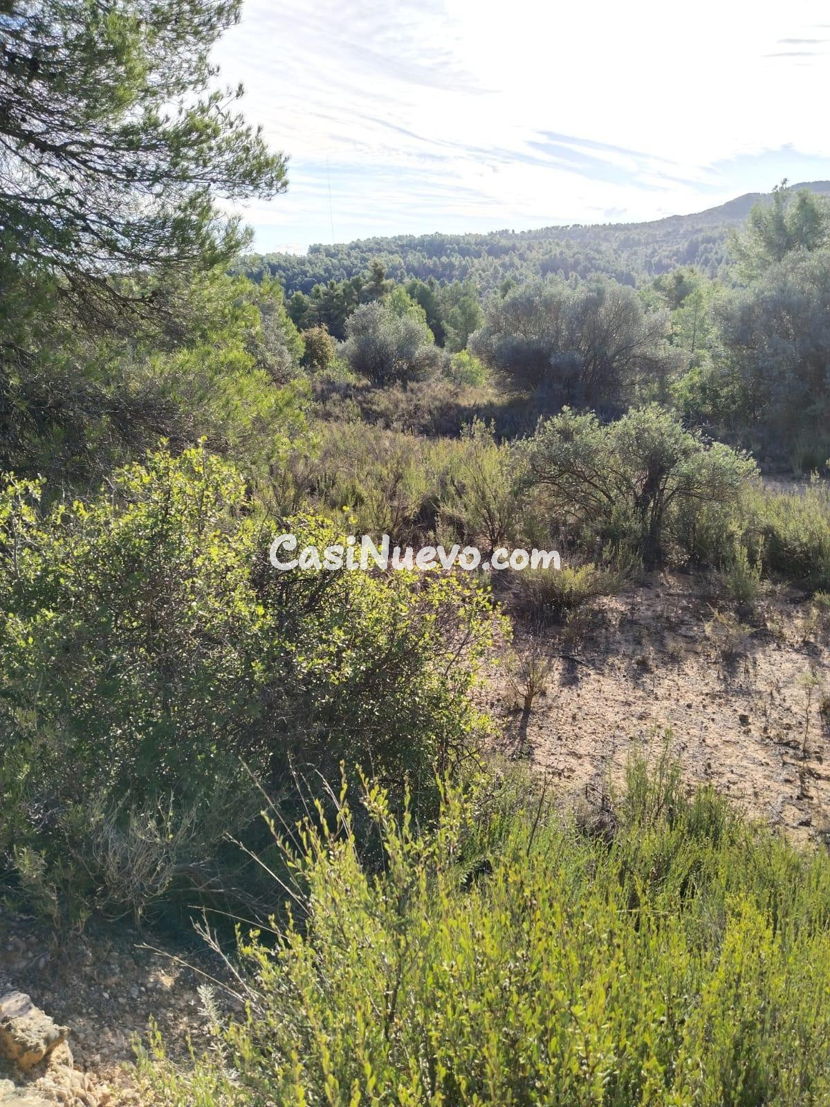 Finca rústica en Cervià de les Garrigues – 74.446 m2 (7,44 ha)
