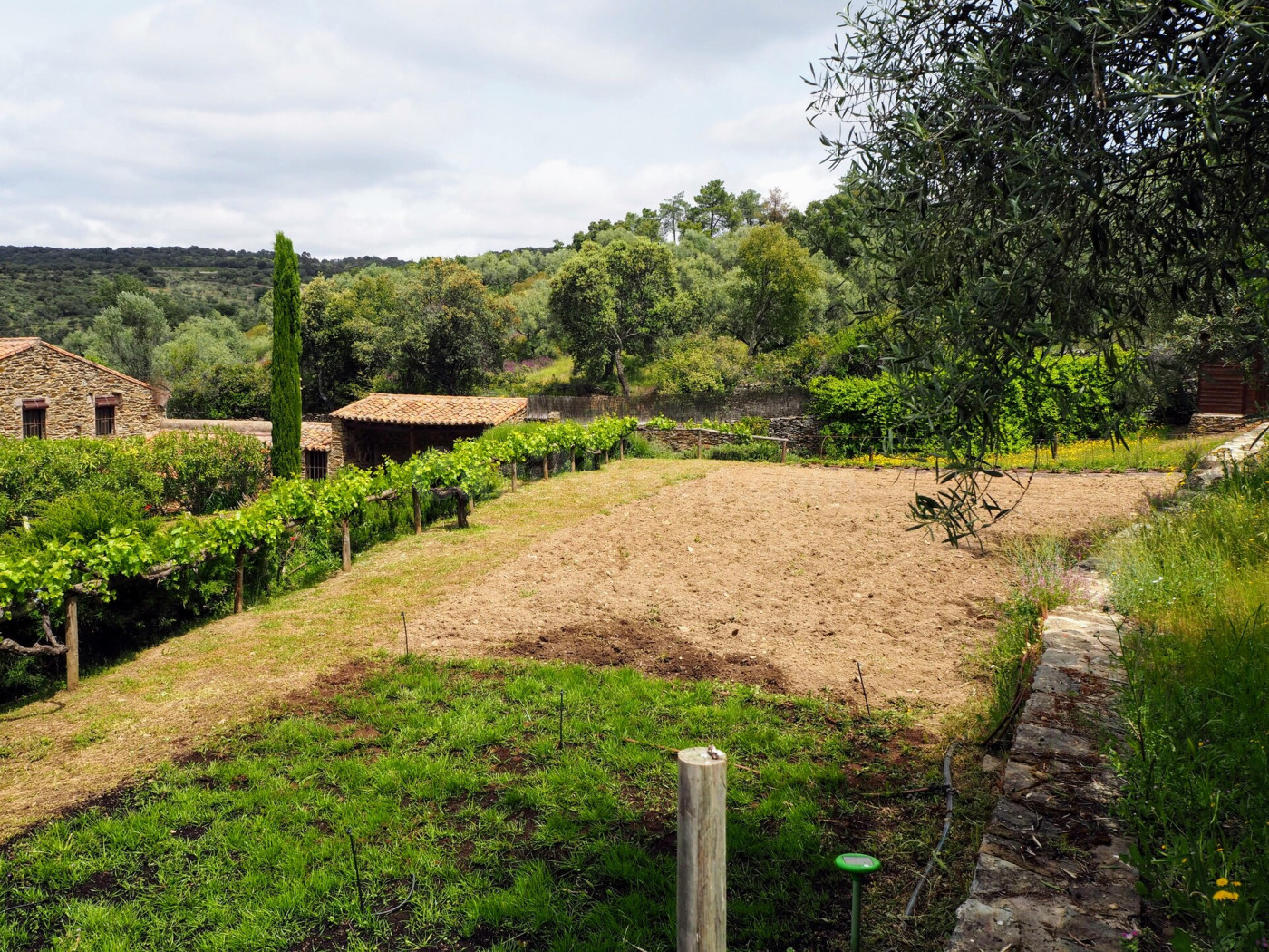CASA DE CAMPO EN VENTA EN MADROÑERA - CÁCERES - foto 3