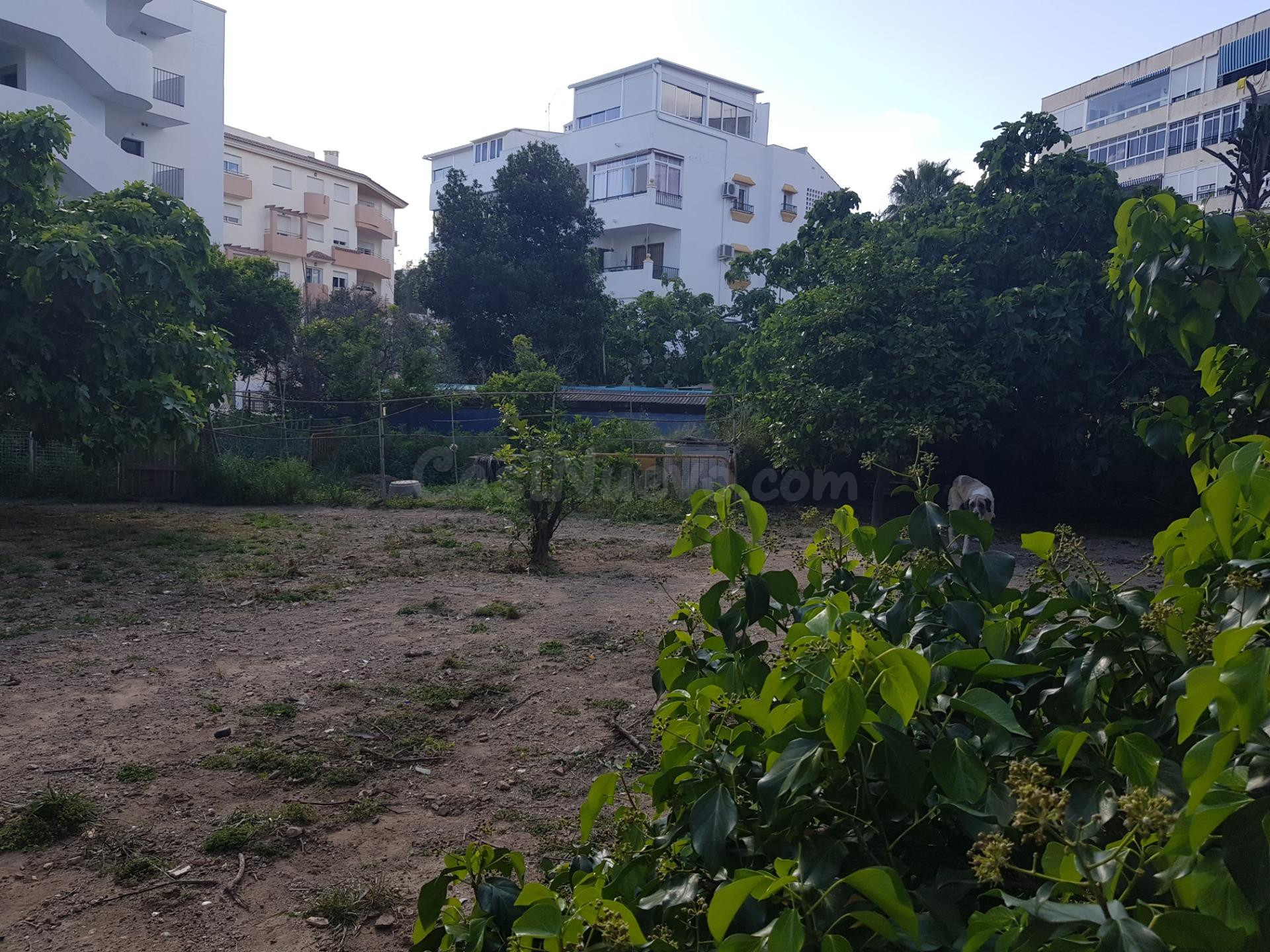 GRAN TERRENO URBANIZABLE EN PLENO CENTRO DE ARROYO DE LA MIE - foto 2