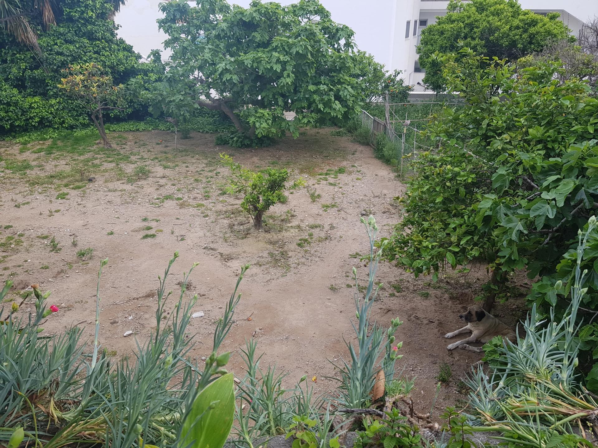 GRAN TERRENO URBANIZABLE EN PLENO CENTRO DE ARROYO DE LA MIE - foto 3