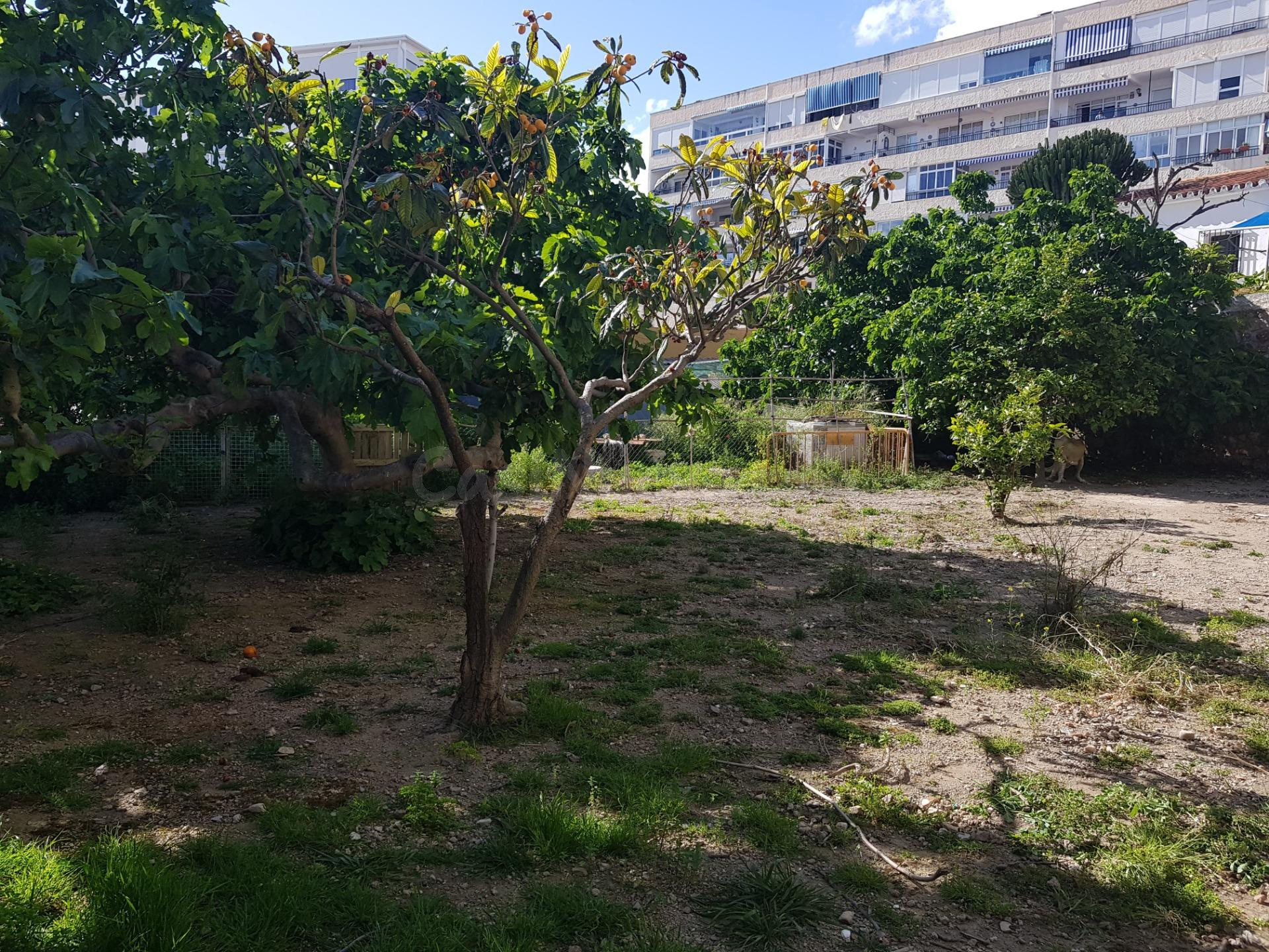 GRAN TERRENO URBANIZABLE EN PLENO CENTRO DE ARROYO DE LA MIE - foto 5