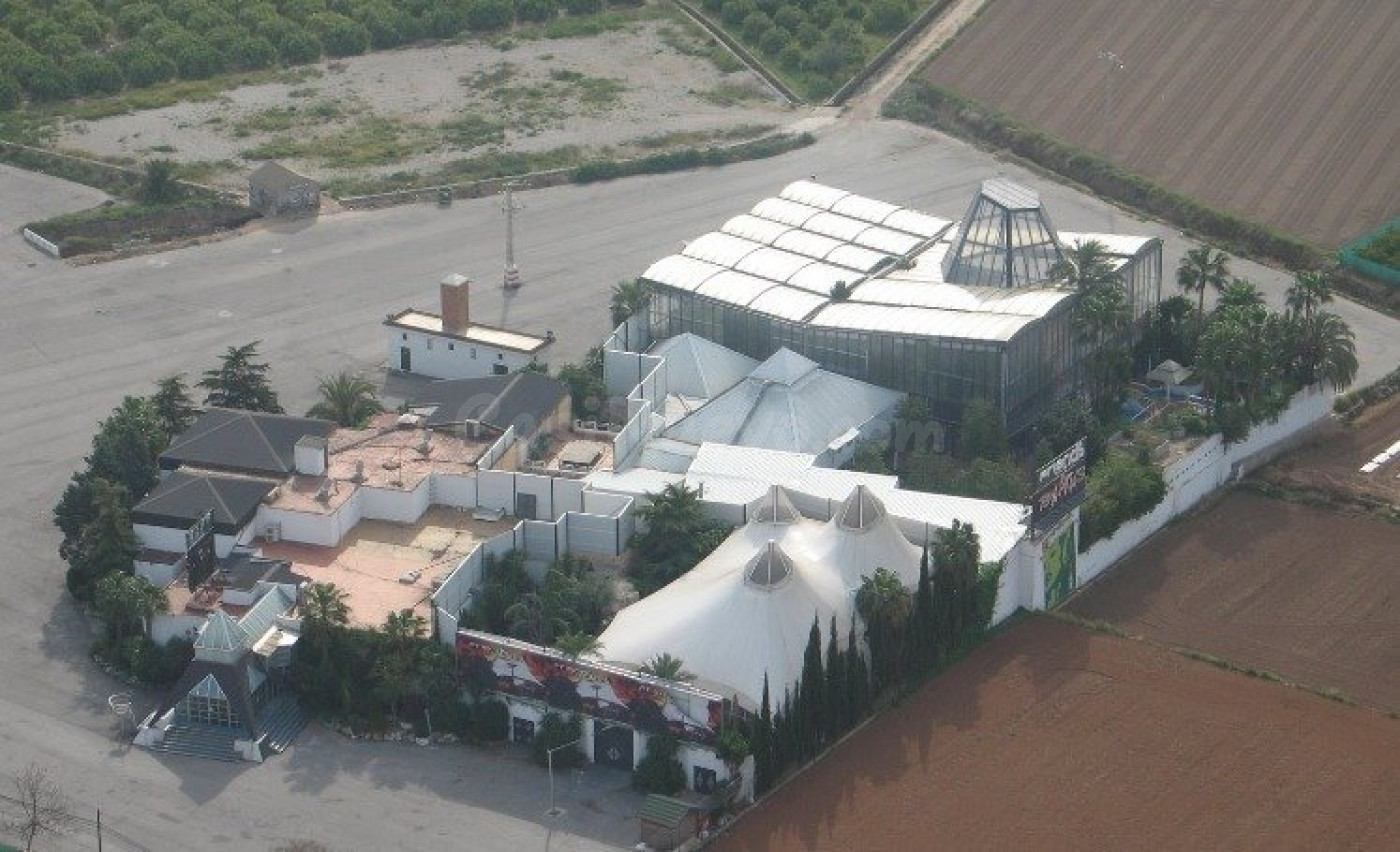 SE VENDE DISCOTECA BANANAS