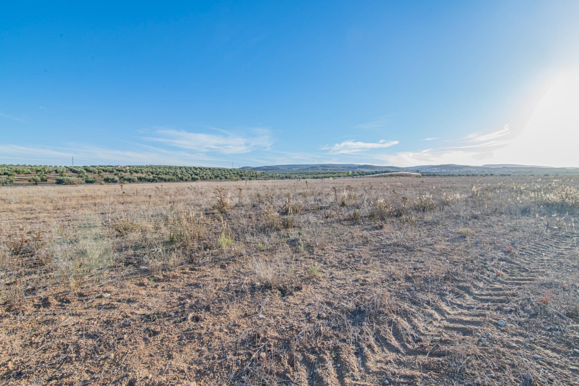 VENTA DE 21.500 M2 DE SUELO INDUSTRIAL EN EL PARQUE METROPOLITRANO DE ESCUZAR (GRANADA)