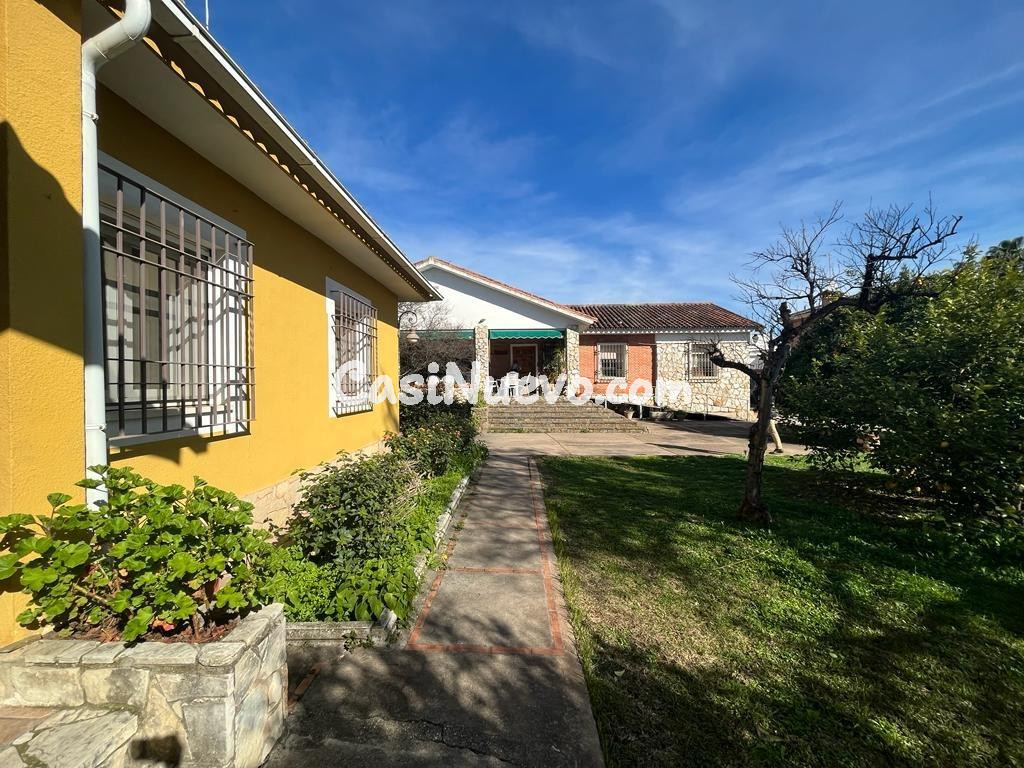 D. PARCELA DE 3000 M2 SEGREGABLE EN TRES CON DOS CHALETS - foto 2