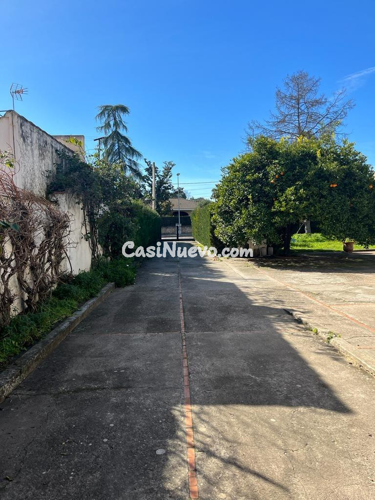 D. PARCELA DE 3000 M2 SEGREGABLE EN TRES CON DOS CHALETS - foto 20