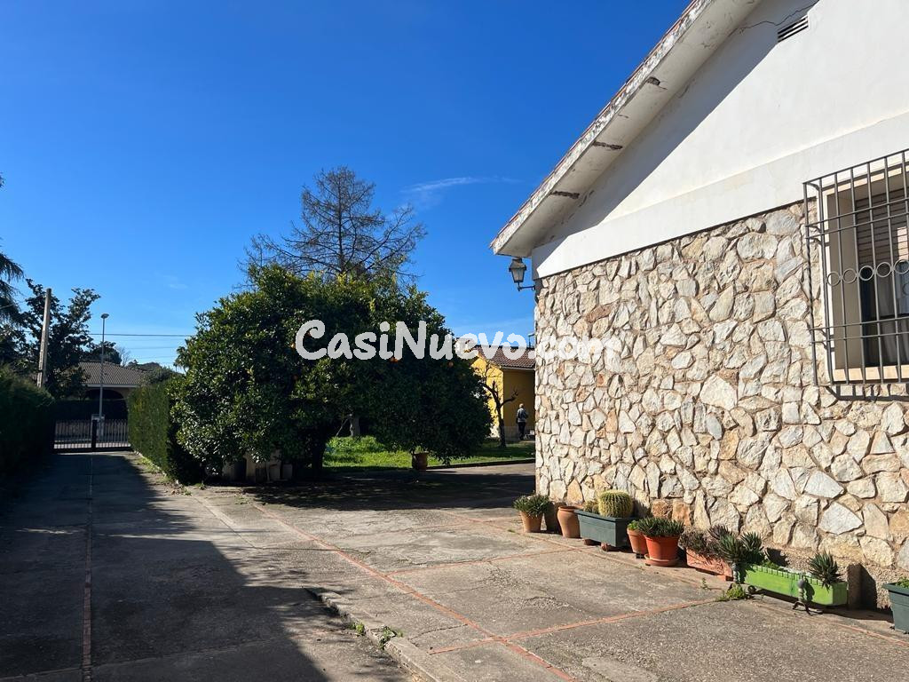 D. PARCELA DE 3000 M2 SEGREGABLE EN TRES CON DOS CHALETS - foto 21