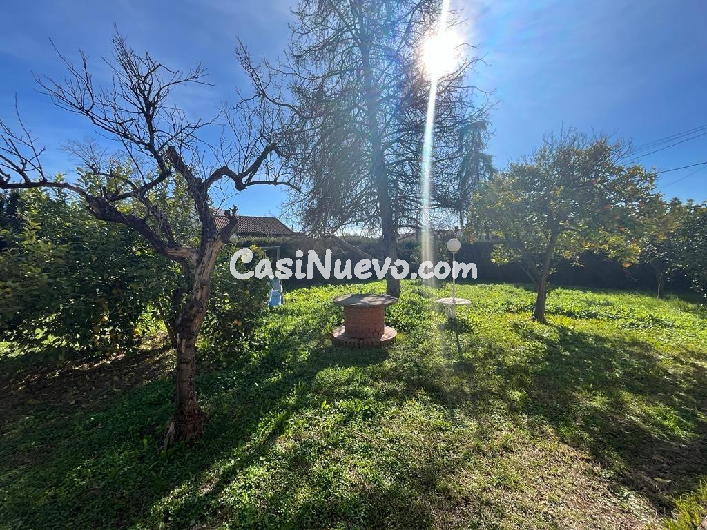 D. PARCELA DE 3000 M2 SEGREGABLE EN TRES CON DOS CHALETS - foto 34