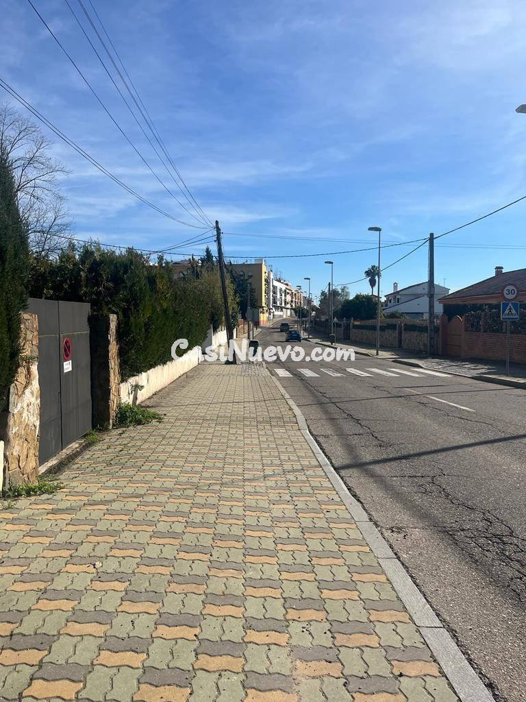 D. PARCELA DE 3000 M2 SEGREGABLE EN TRES CON DOS CHALETS - foto 41