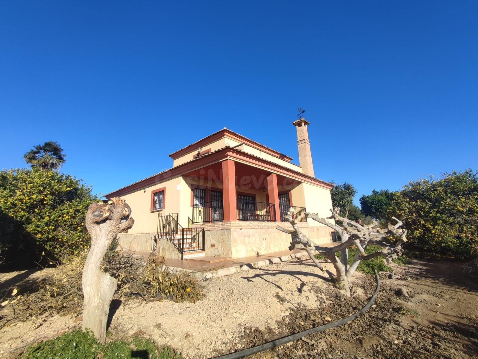 Casa de campo con huerta en Algorfa, a pocos kilómetros de las playas de Guardamar