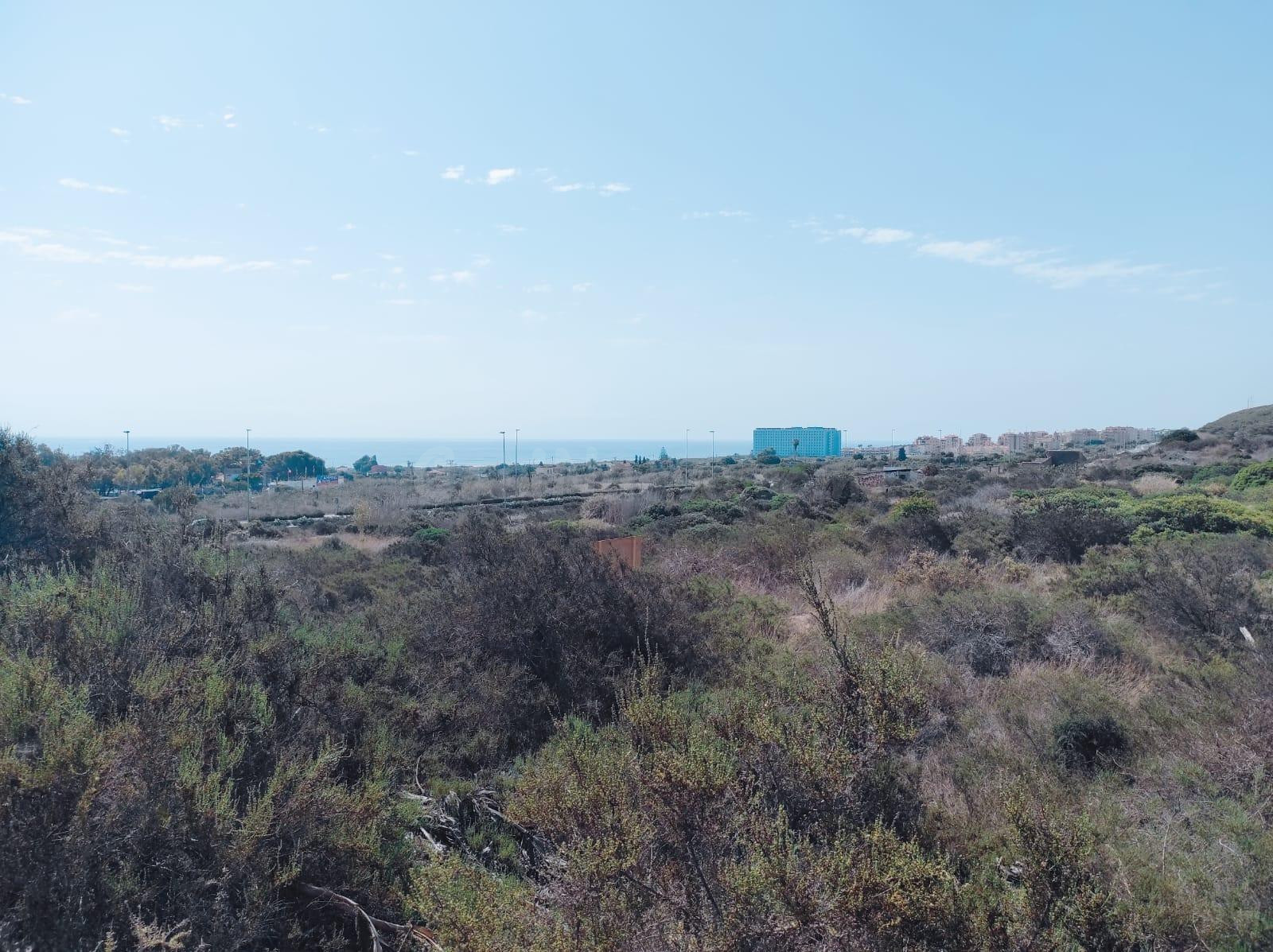Gran Oportunidad de Parcela en Guardamar Hills, Alicante, Costa Blanca