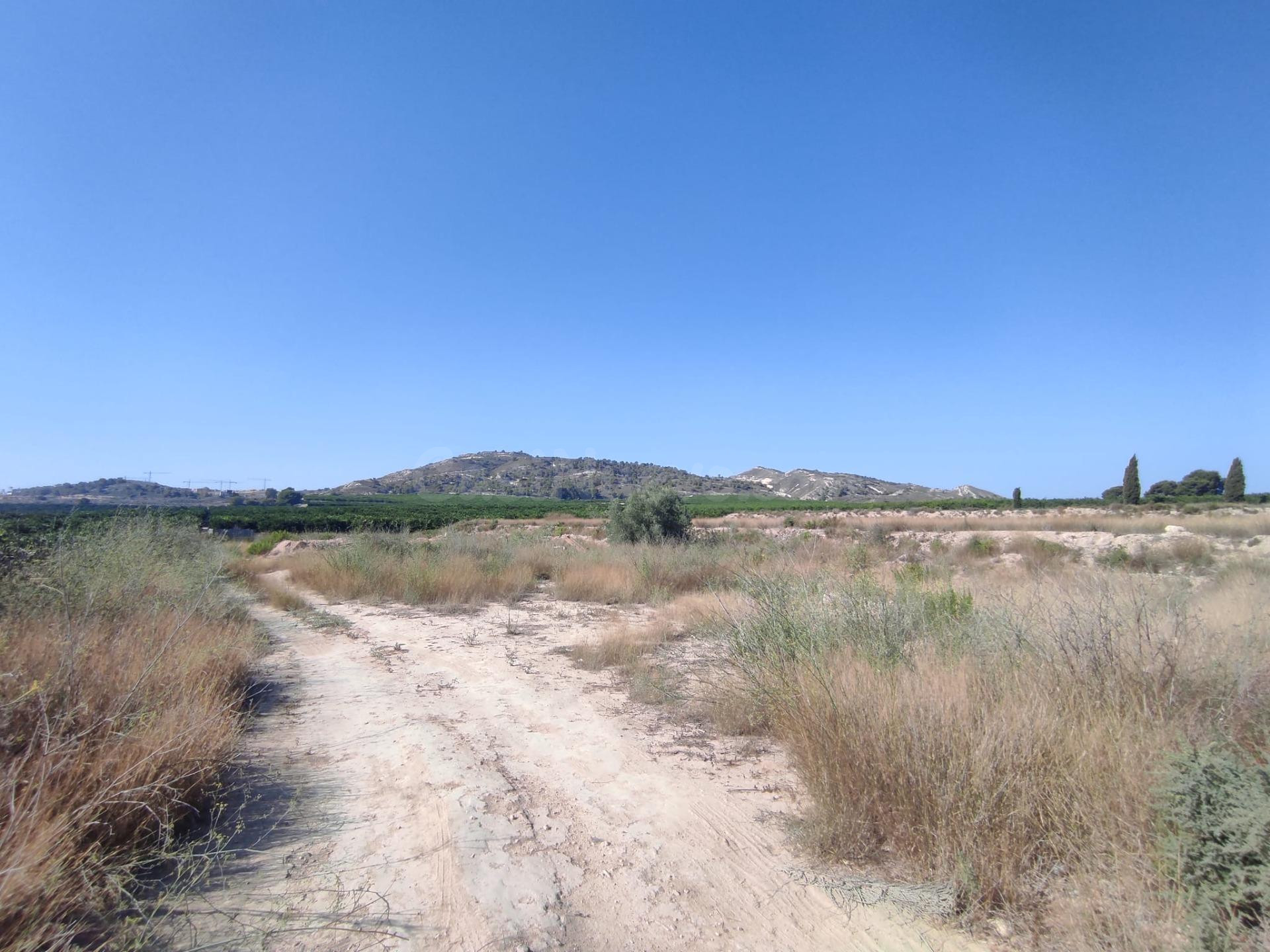 Gran parcela de 8357 metros cuadrados con luz y agua en Algorfa, Costa Blanca