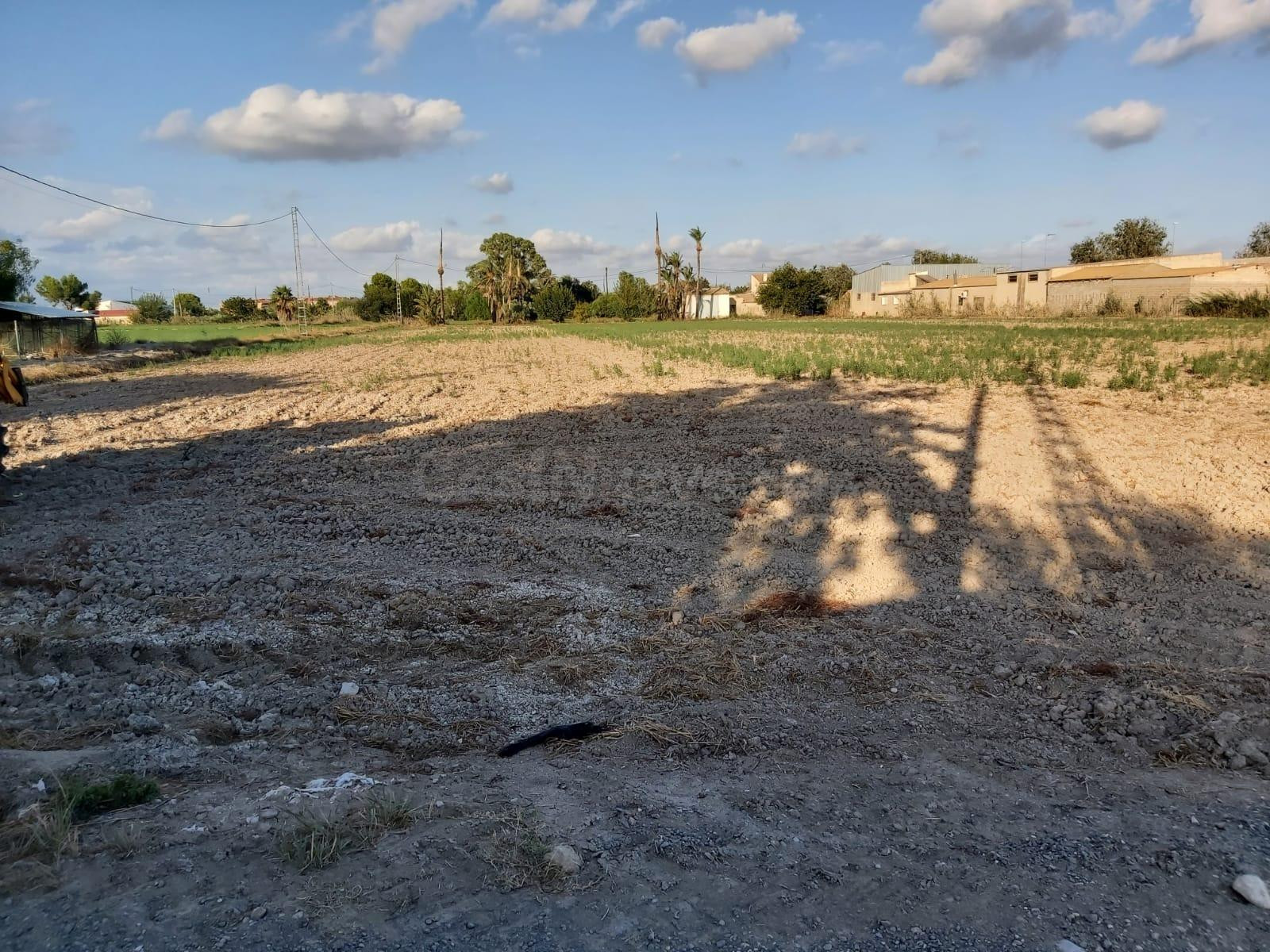 FANTASTICO TERRENO EN CREVILLENTE, ALICANTE, COSTA BLANCA SUR