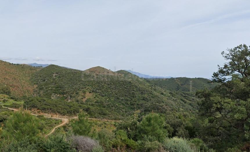 Parcela rústica en venta en Estepona