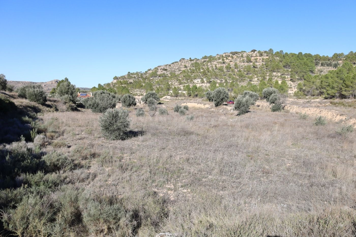 Se vende Terreno próximo a la Carretera de Castelserás - Alcañiz (Teruel) - Ref. TR02042023