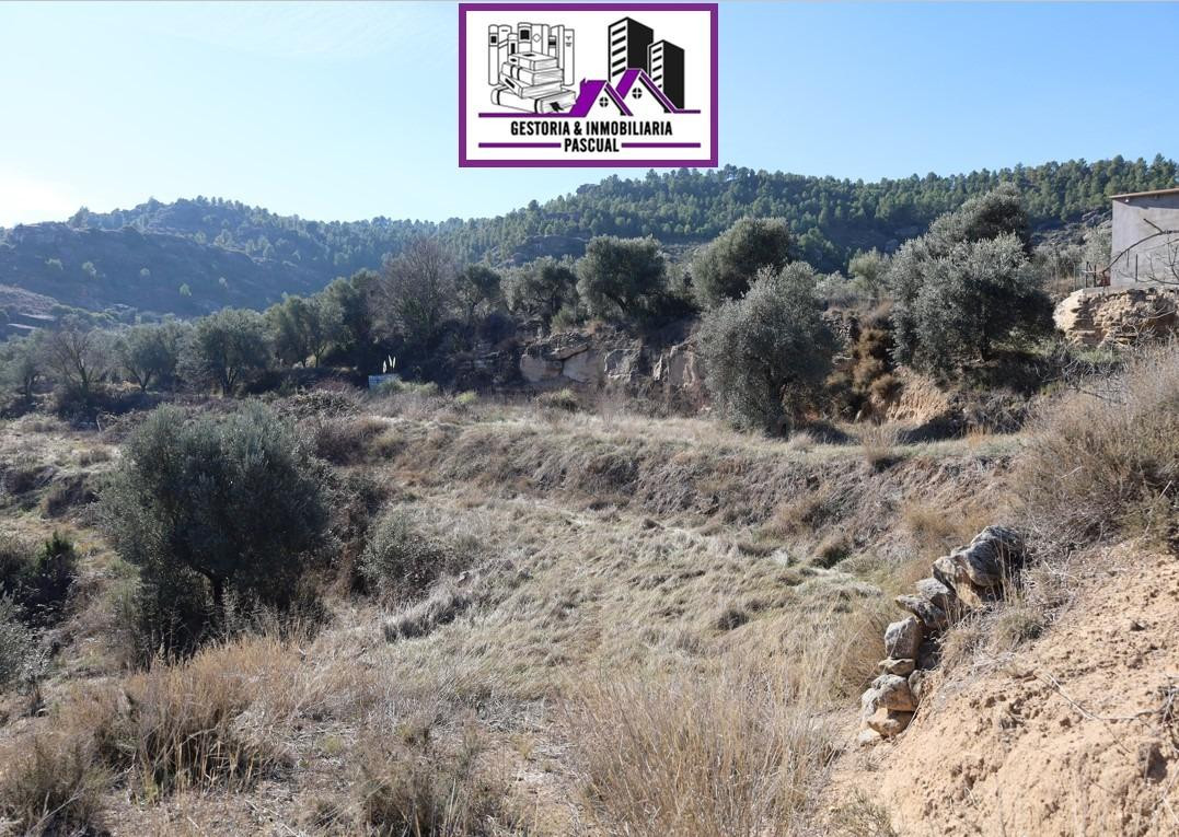 TERRENO EN VENTA EN ALCAÑIZ. Ref TR08102023
