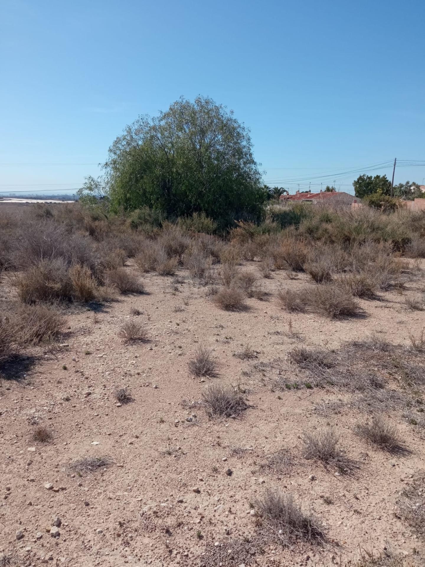 Oportunidad, Parcela urbana con paro de edificabilidad en Mutxamel, 13 km de Alicante