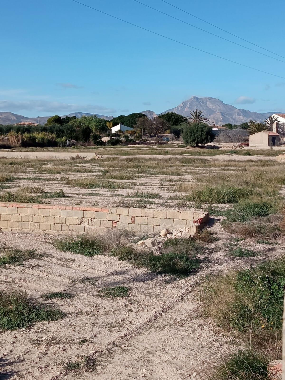 Parcela rústica ubicada a solo 12 km del centro de Alicante ciudad