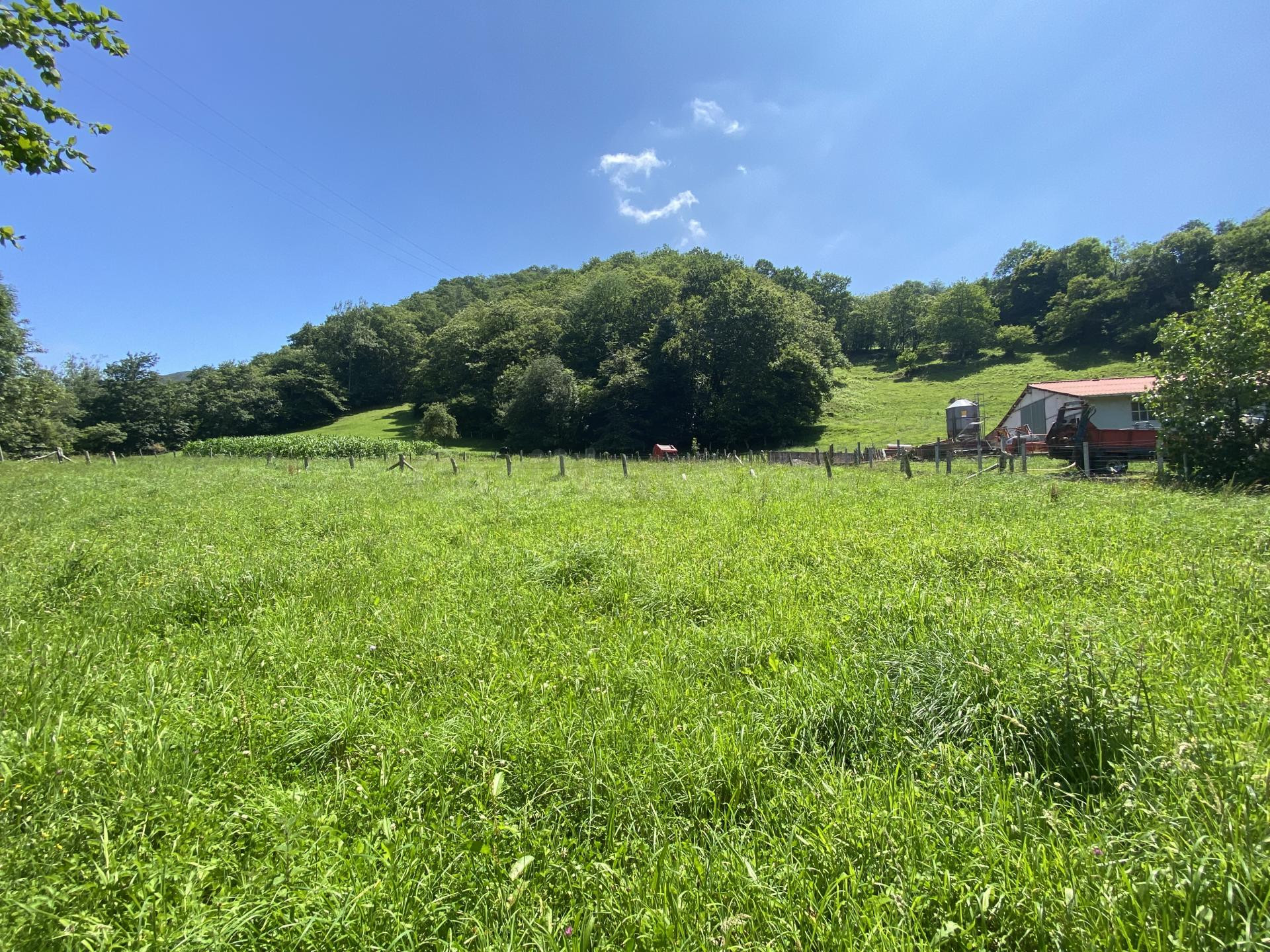 VENTA DE FINCA EN LLENIN