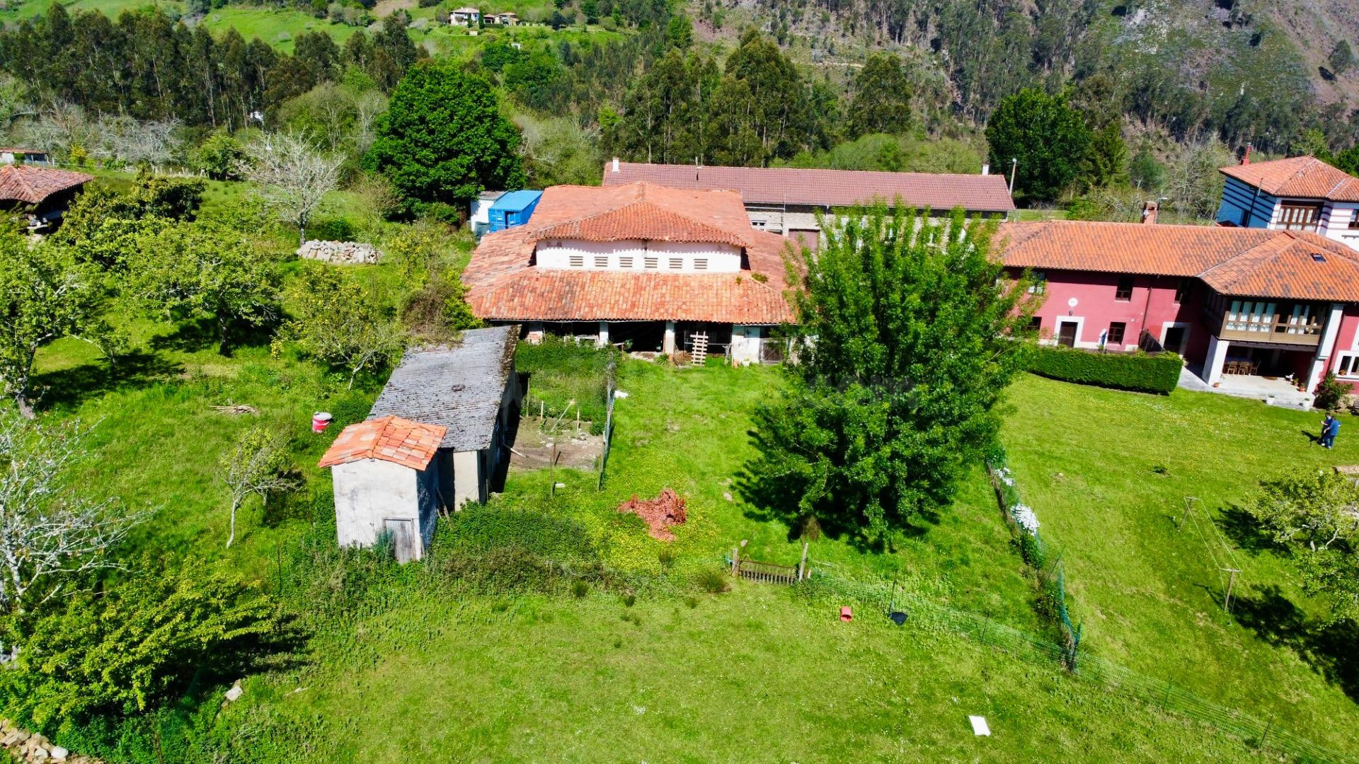FINCA A 4 KM DE LA PLAYA DE VEGA