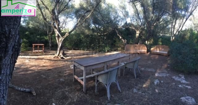 ¡Oportunidad única en Felanitx! Terreno rústico de 61.000 m2 con proyecto aprobado y obra ya iniciada