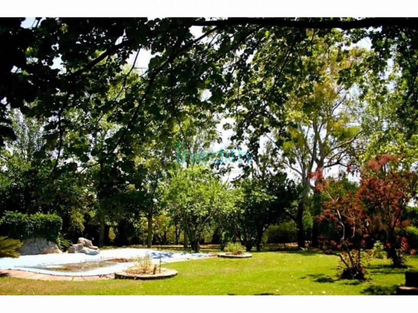 Preciosa casa en urbanbización de Valls rodeada de campo y árboles, un oasis repleto de Arte!
