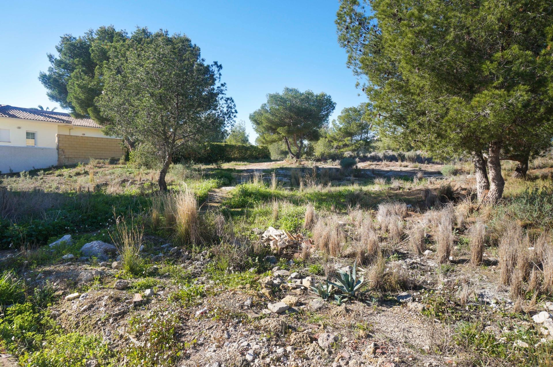 Parcela en La Nucia - foto 4