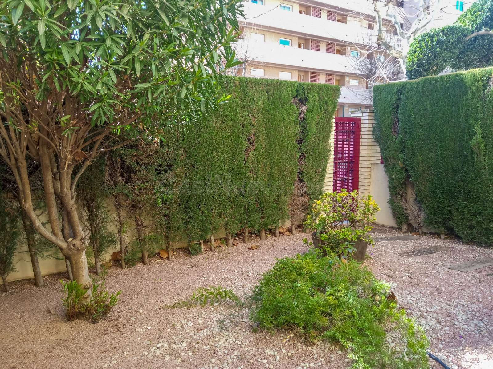 APARTAMENTO DE UN DORMITORIO EN EXCEPCIONAL SITUACIÓN - foto 4