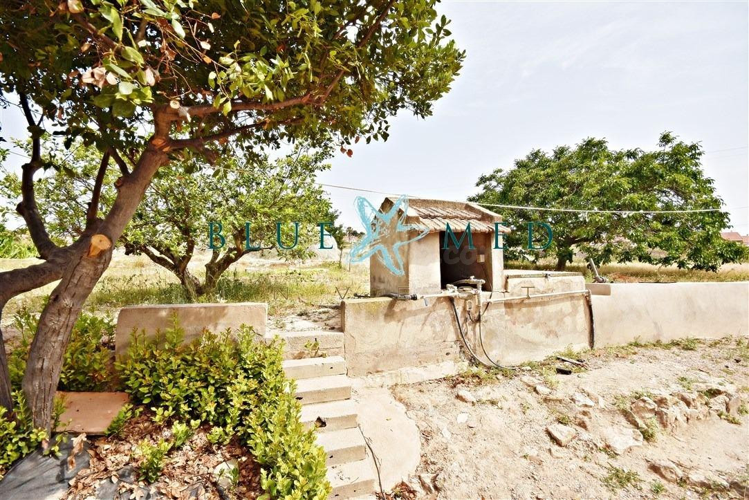 CASA DE CAMPO CON PARCELA DE 20.000 METROS EN EL PARETON - foto 2
