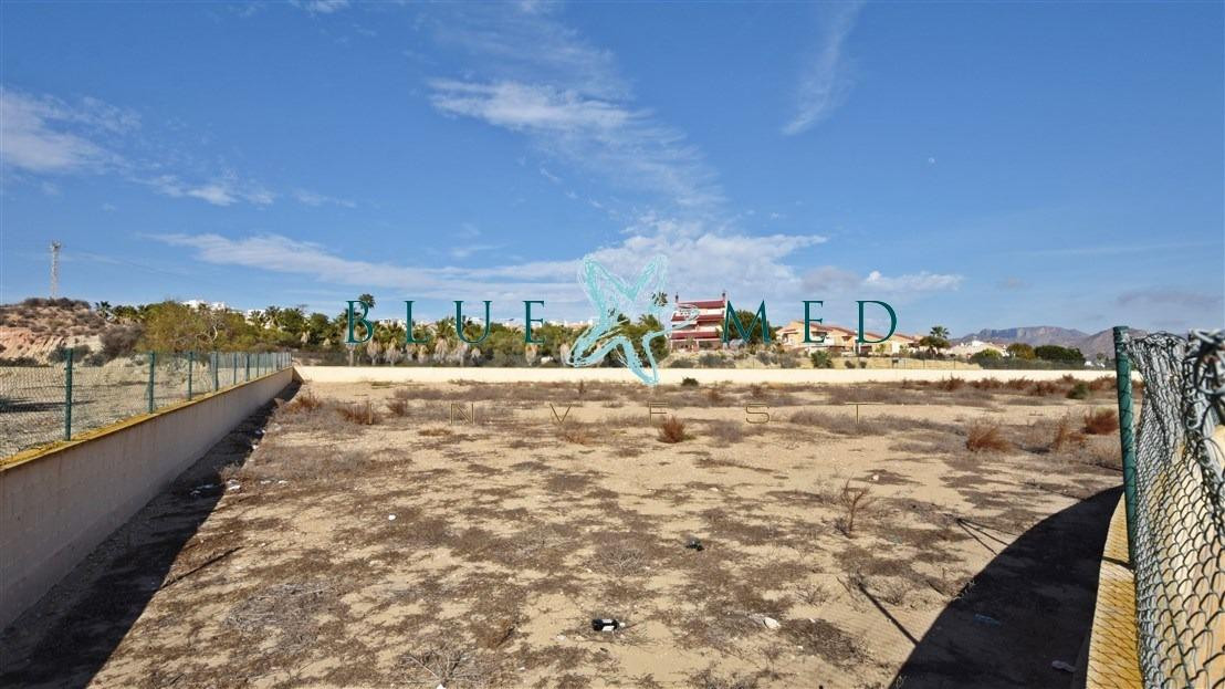 PARCELA DEPORTIVA A LA VENTA EN EL ALCOLAR