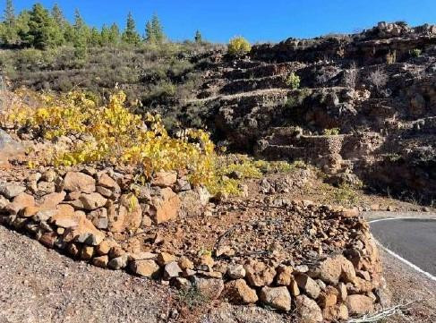 Se Vende Parcela Rústica en Granadilla de Abona - foto 2