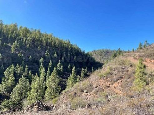 Se Vende Parcela Rústica en Granadilla de Abona - foto 3