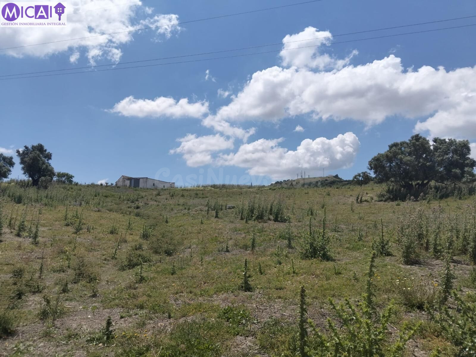 En venta 4 hectáreas sin construcción en el Pago de la Guant - foto 2