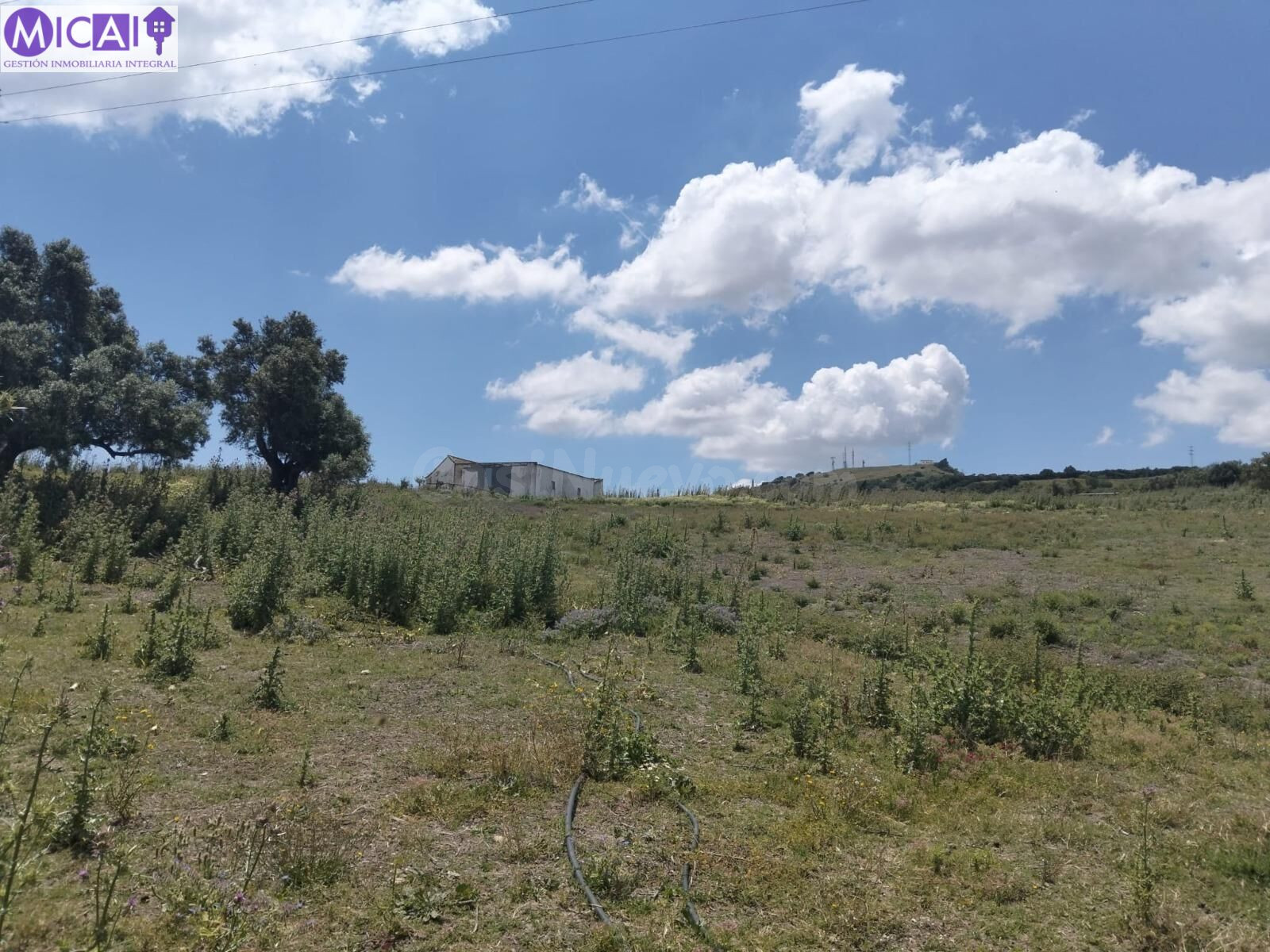 En venta 4 hectáreas sin construcción en el Pago de la Guant - foto 4