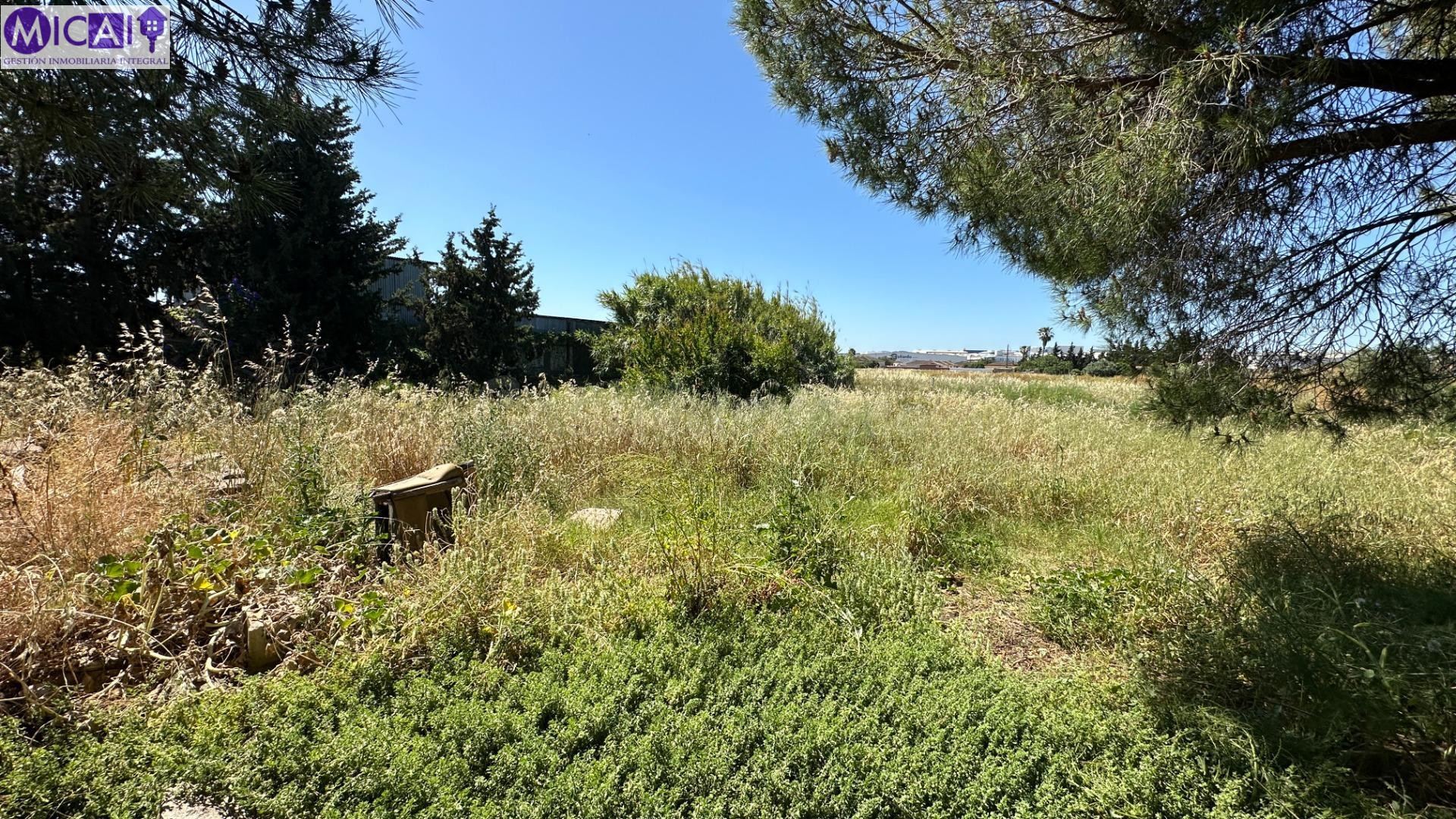 Parcela en zona de Pelagatos (Chiclana) - foto 5