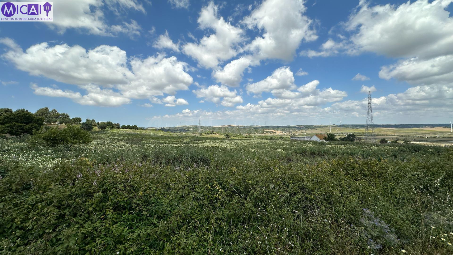 Oportunidad: Más de 7 hectáres en venta en Medina Sidonia, P