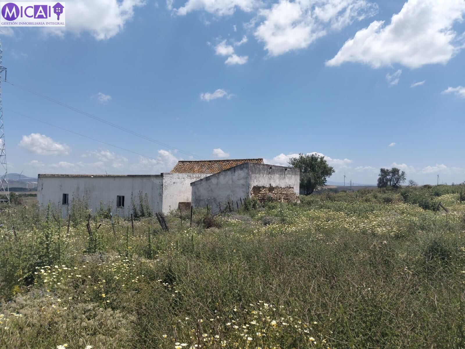 En venta: 3 hectareas con casa y nave en el Pago de la Guant - foto 2