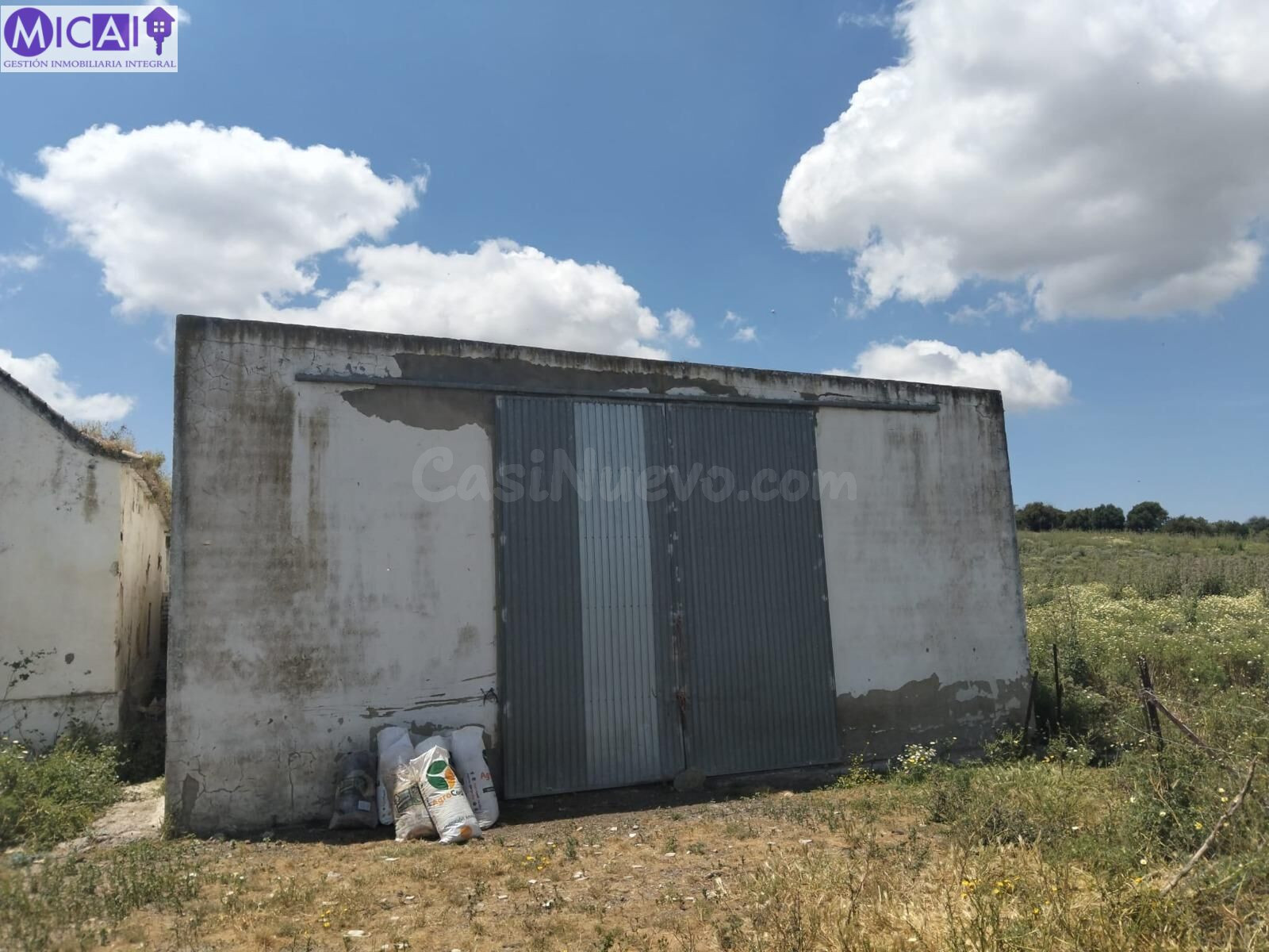 En venta: 3 hectareas con casa y nave en el Pago de la Guant - foto 4