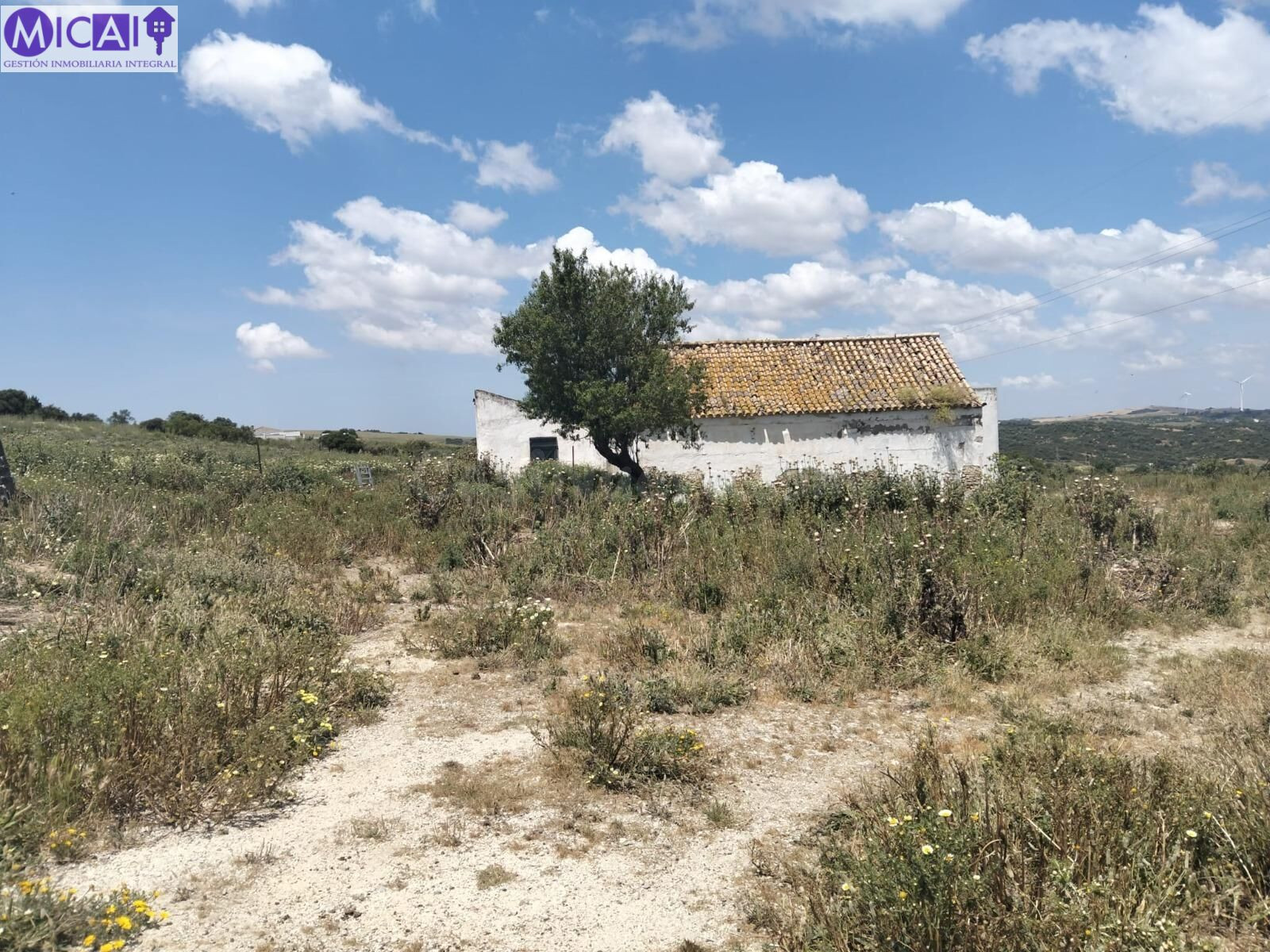 En venta: 3 hectareas con casa y nave en el Pago de la Guant - foto 5