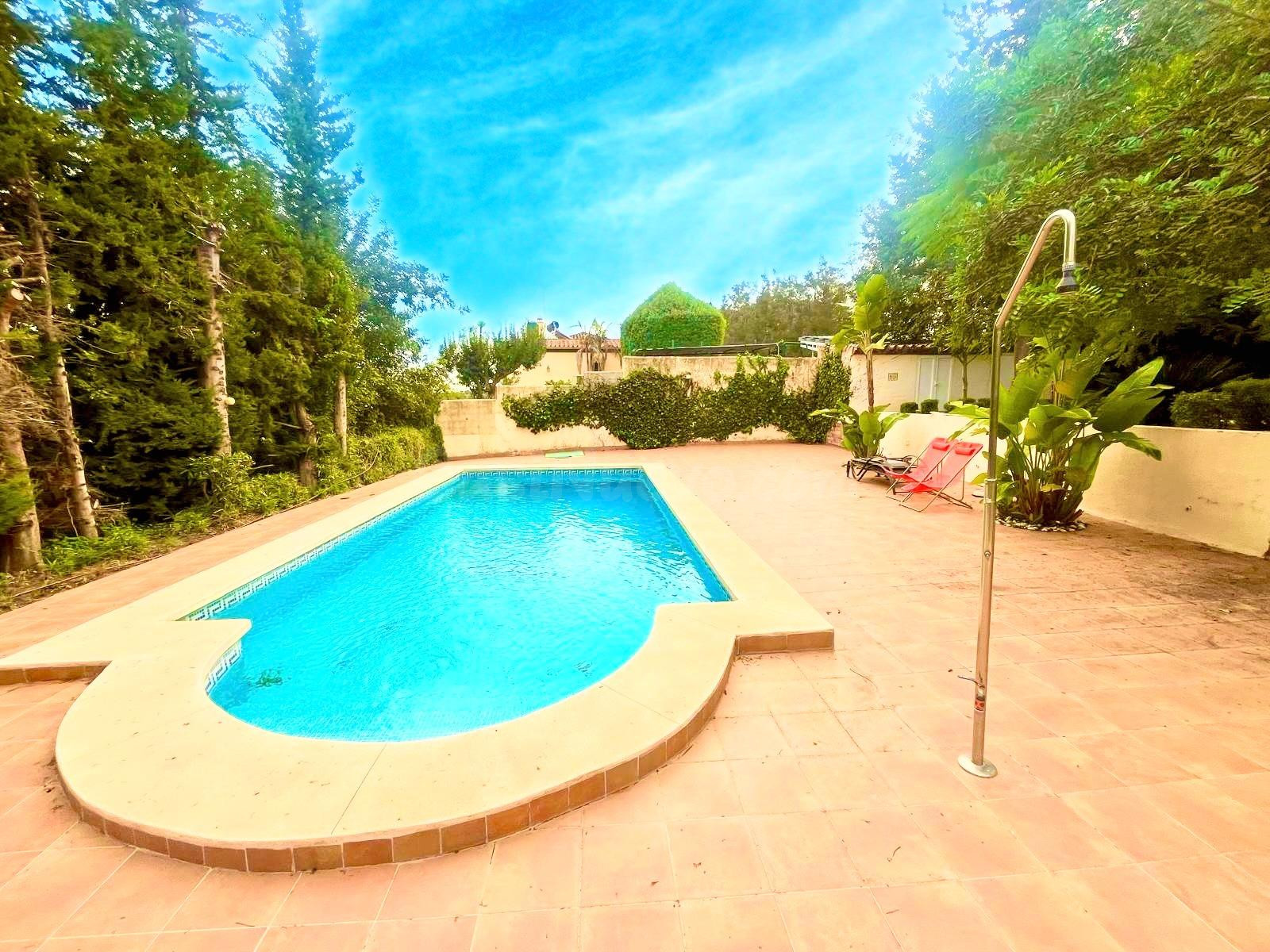 Oportunidad única en Estepona: Finca Rústica entre el campo  - foto 3