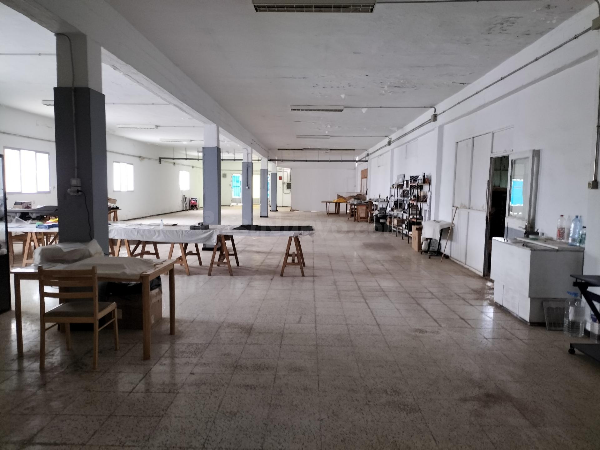 Nave Industrial con Local Comercial en Parcela de 12.000 m2  - foto 3