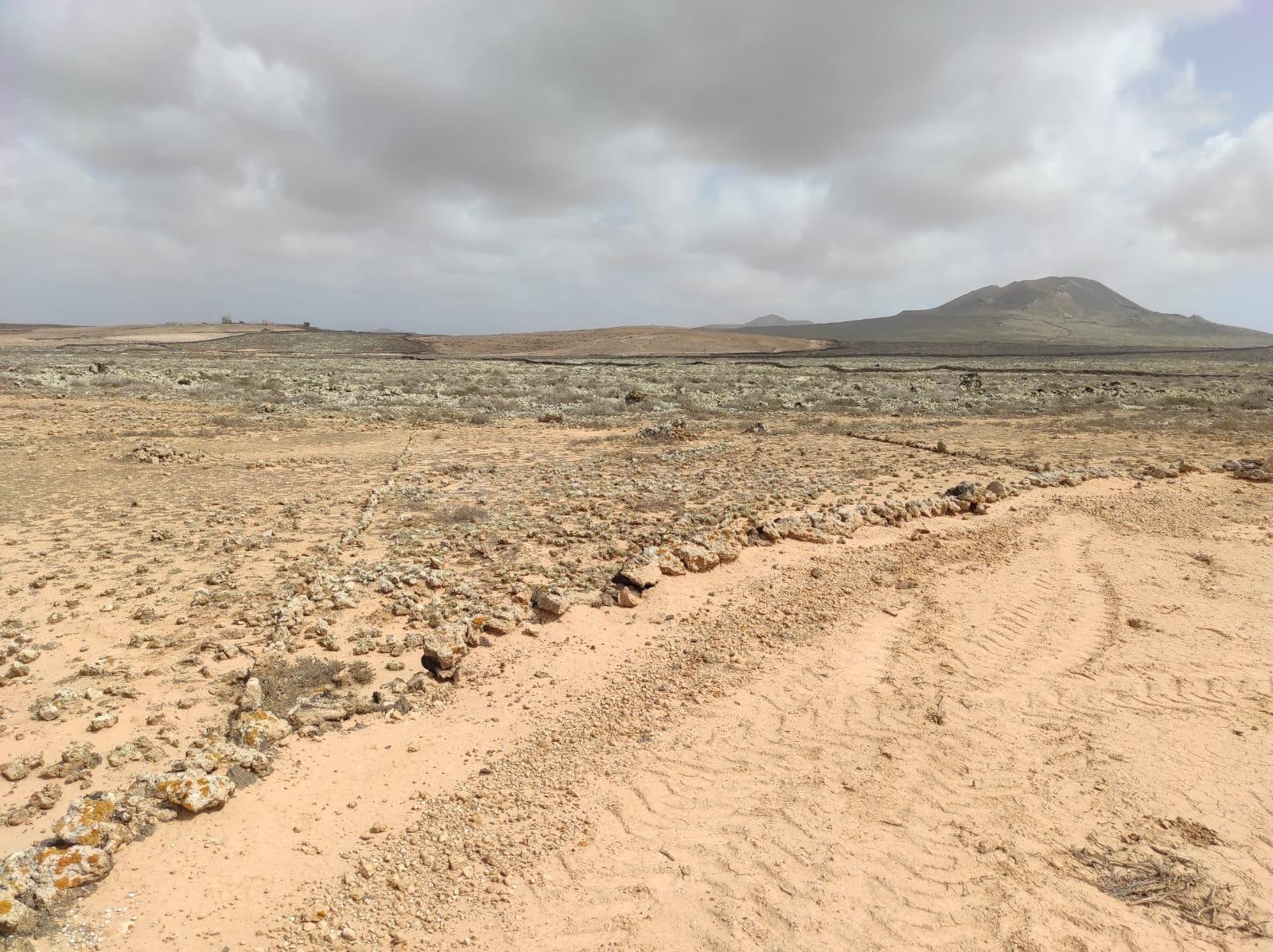 Parcela Agrícola de 3.633 m2 en Lajares (Finca Rosa Vieja)