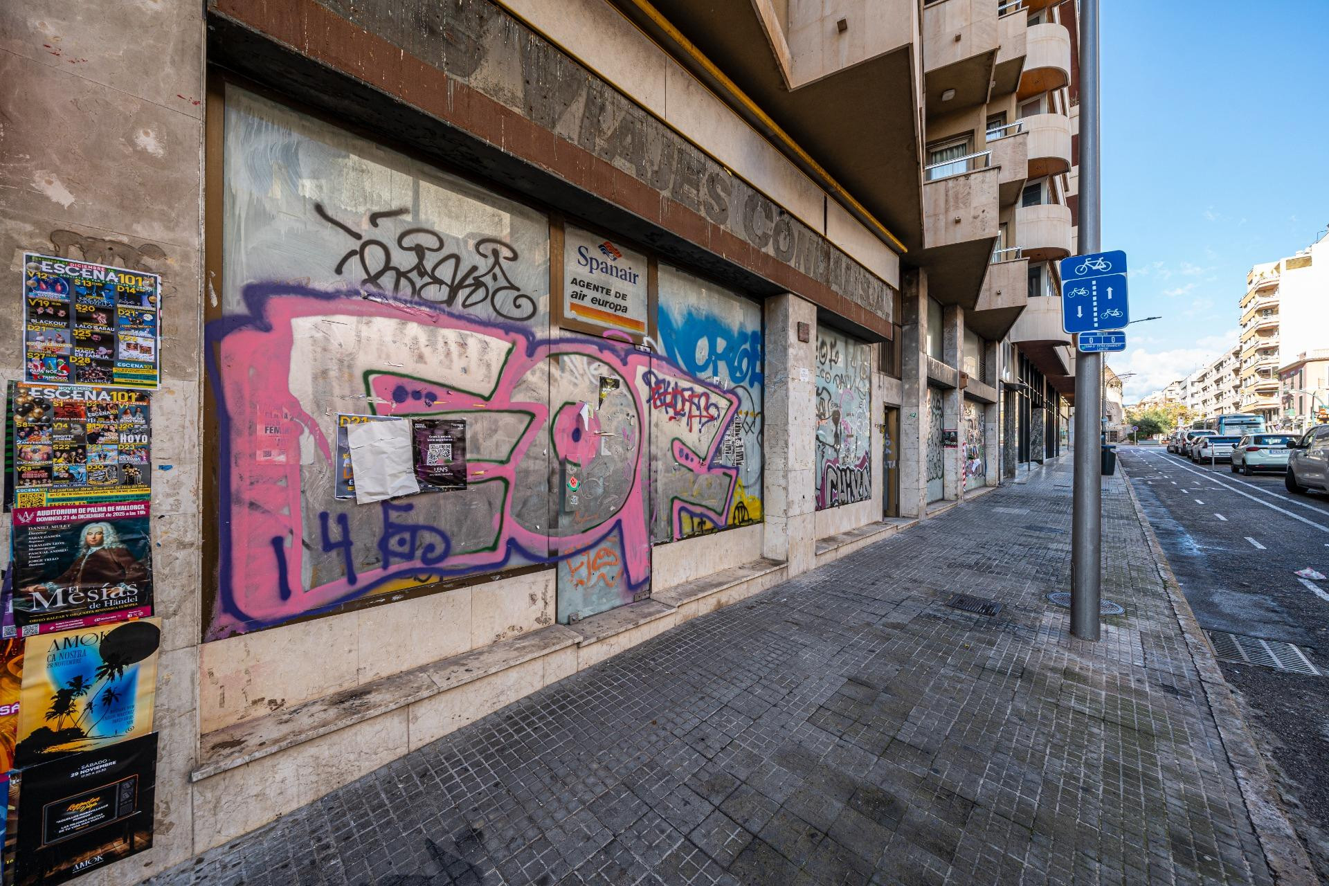 Oportunidad única en una de las zonas más demandadas de Palma - foto 4