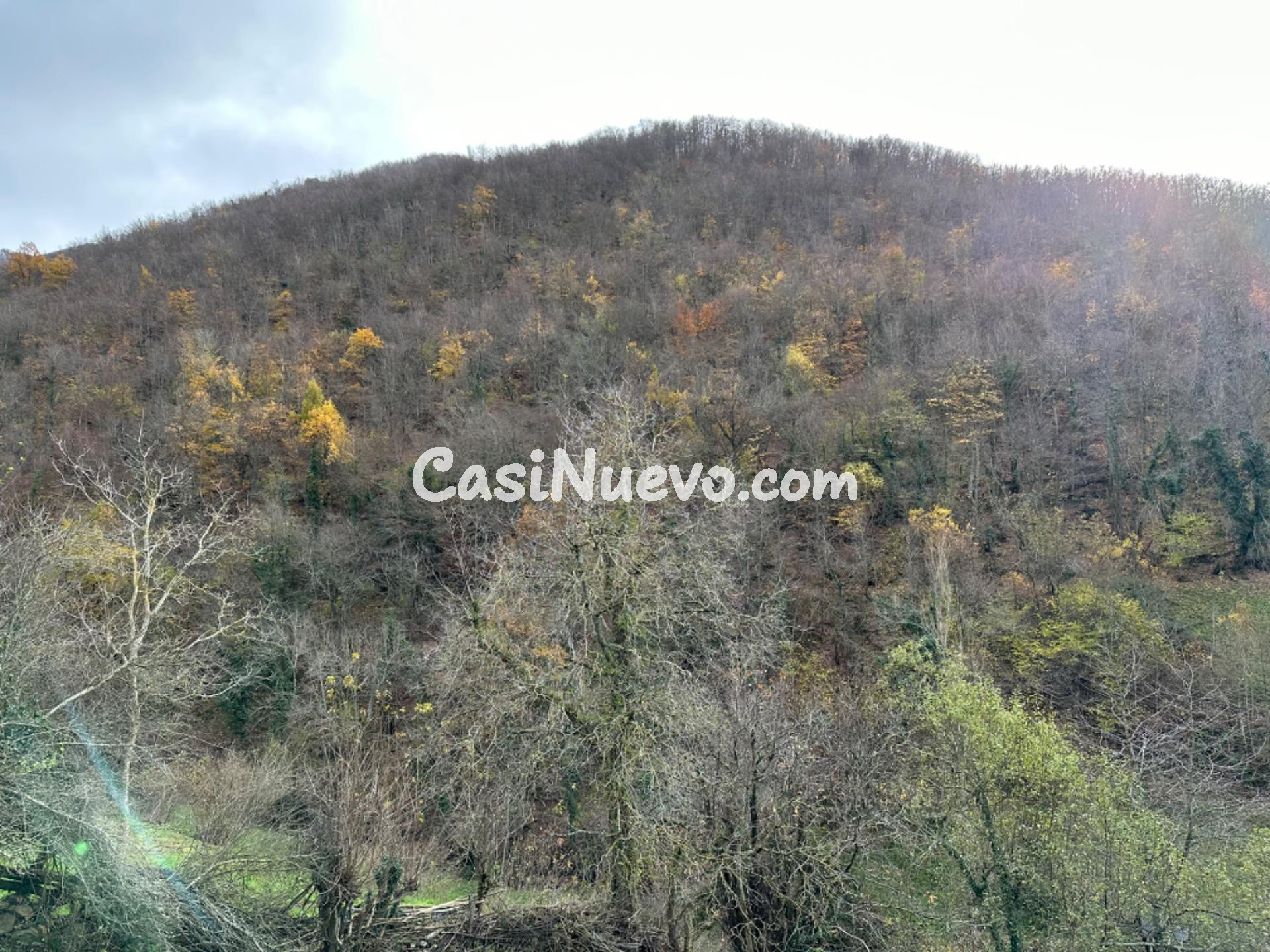 CASA DE PIEDRA PARA REFORMAR EN EL PUEBLO DE RIOALLER, PRINC - foto 21